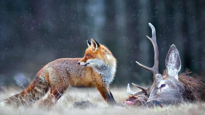 Najlepsze ujęcia 2017 roku – już teraz zobacz zwycięzców konkursu fotograficznego!